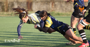 Panini Rugby Le Fenici