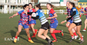 Panini Le Fenici rugby